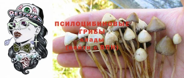 прущая мука Семилуки